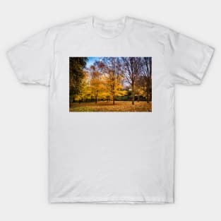 Golden Autumn in New Zealand T-Shirt